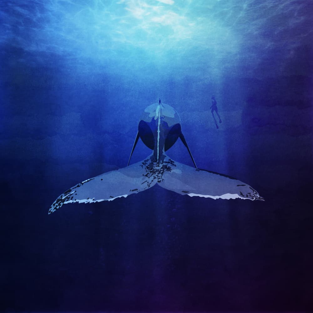 Ocean's Silent Giant by Emel Tunaboylu — canvas wall art
