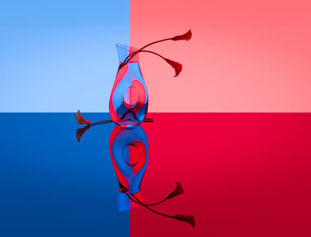 Red Blue Glass Vase by DonnaHom APA — canvas wall art