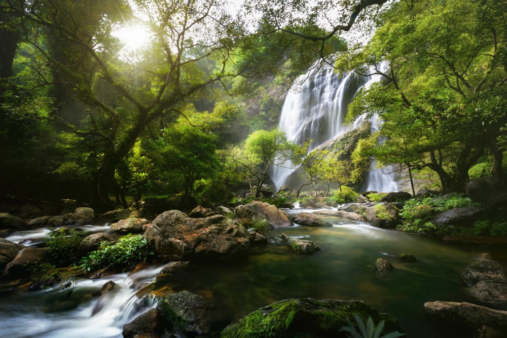 Sunlit Jungle Waterfall by Woraphon Banchobdi — canvas wall art