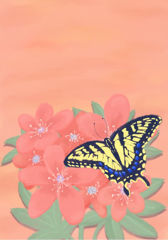 Yellow Butterfly Blooms by Aliya Putrus — canvas wall art