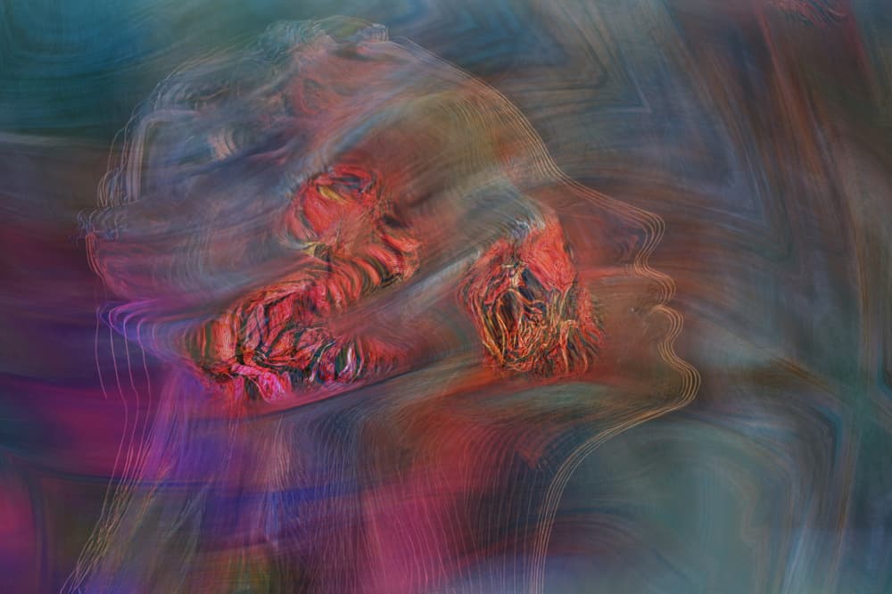 Dynamic Abstract Creature by Yasutaka Sameshima — canvas wall art