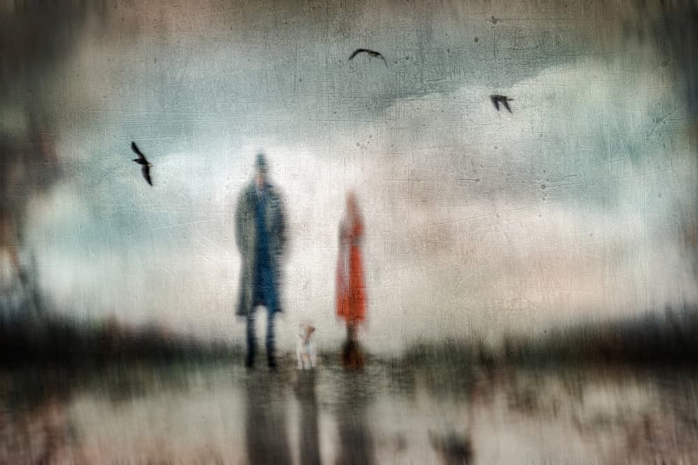 Couple Dog Reflective Dream by Amer Jassim — canvas wall art
