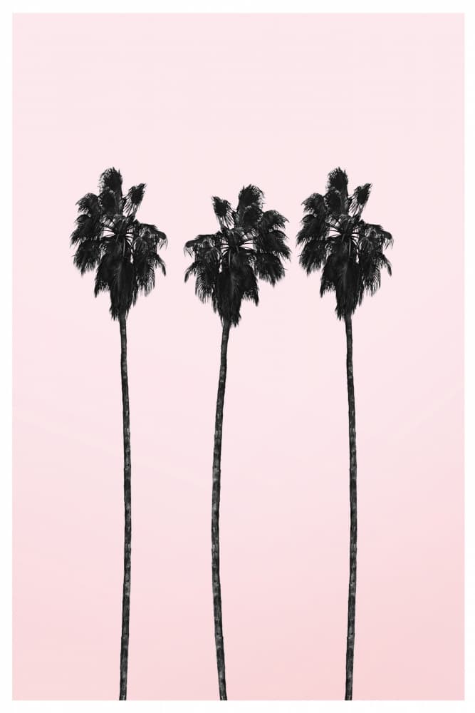 Three Tall Palms by THE MIUUS STUDIO — canvas wall art