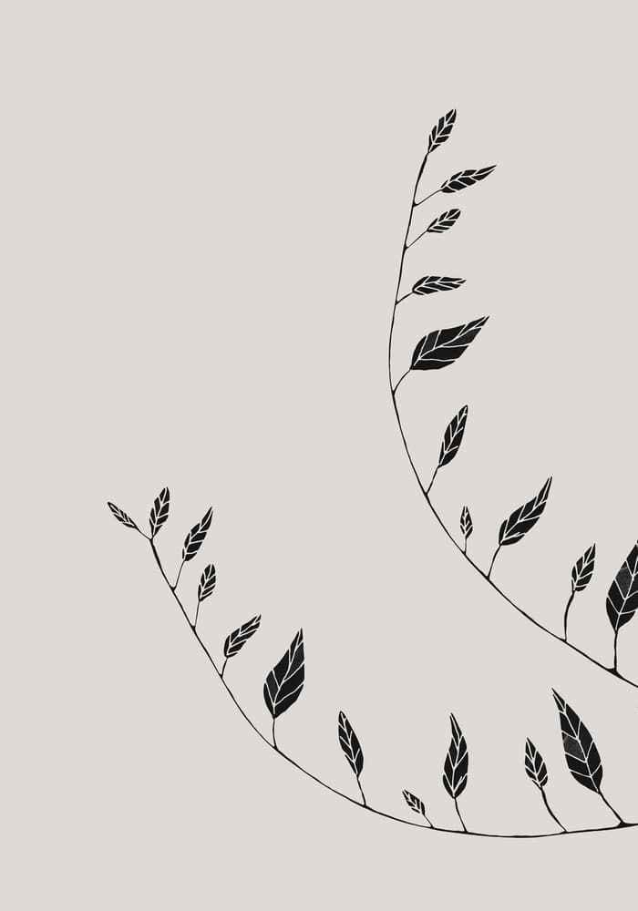 Graceful Leaf Curves by Pictufy Studio II — canvas wall art