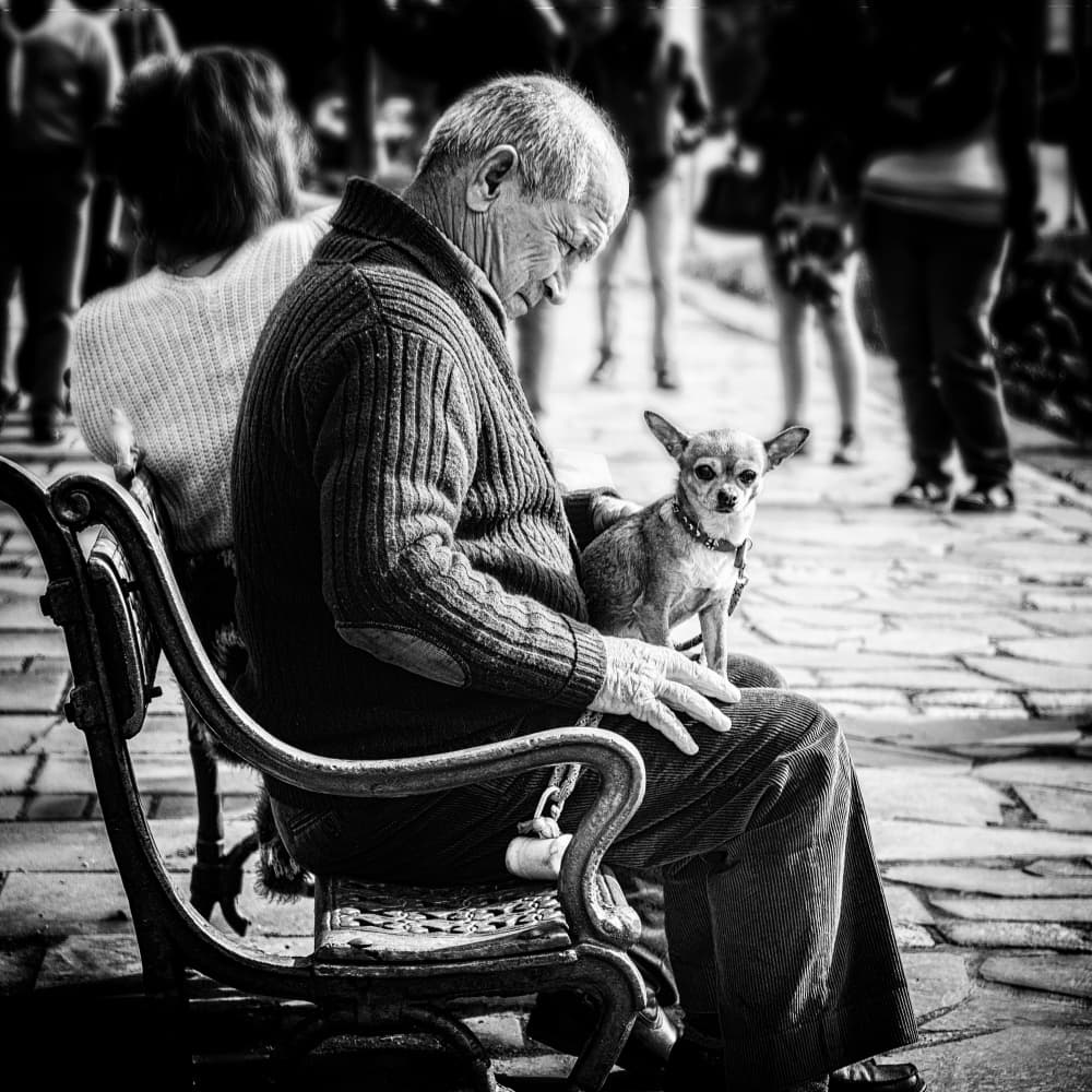 Elderly Man His Chihuahua by Ina Tänzer — canvas wall art