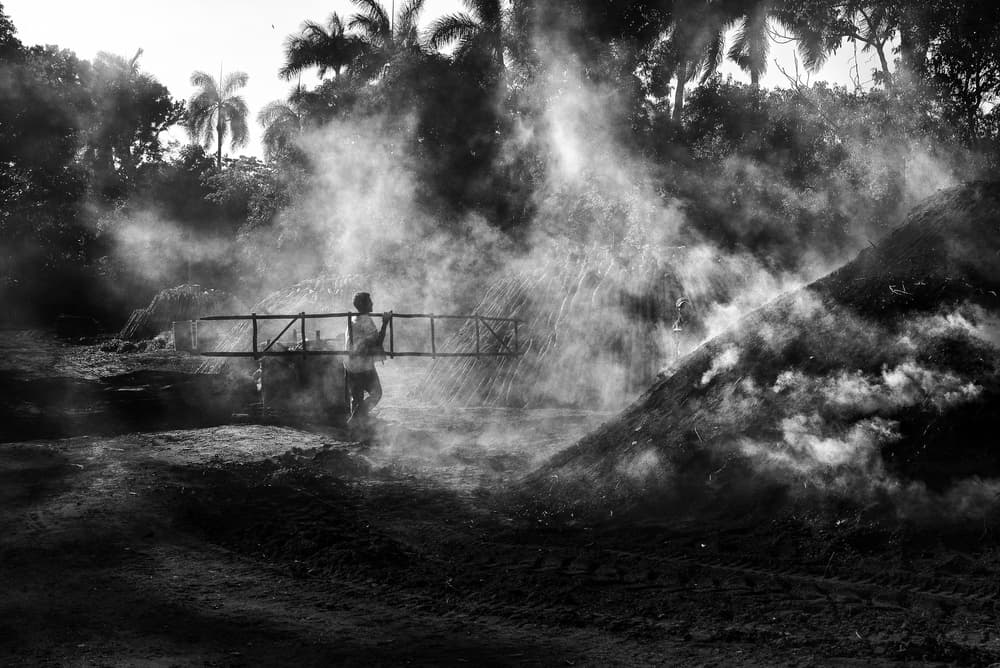 Smoky Working Man by Maryse Dardaillon — canvas wall art
