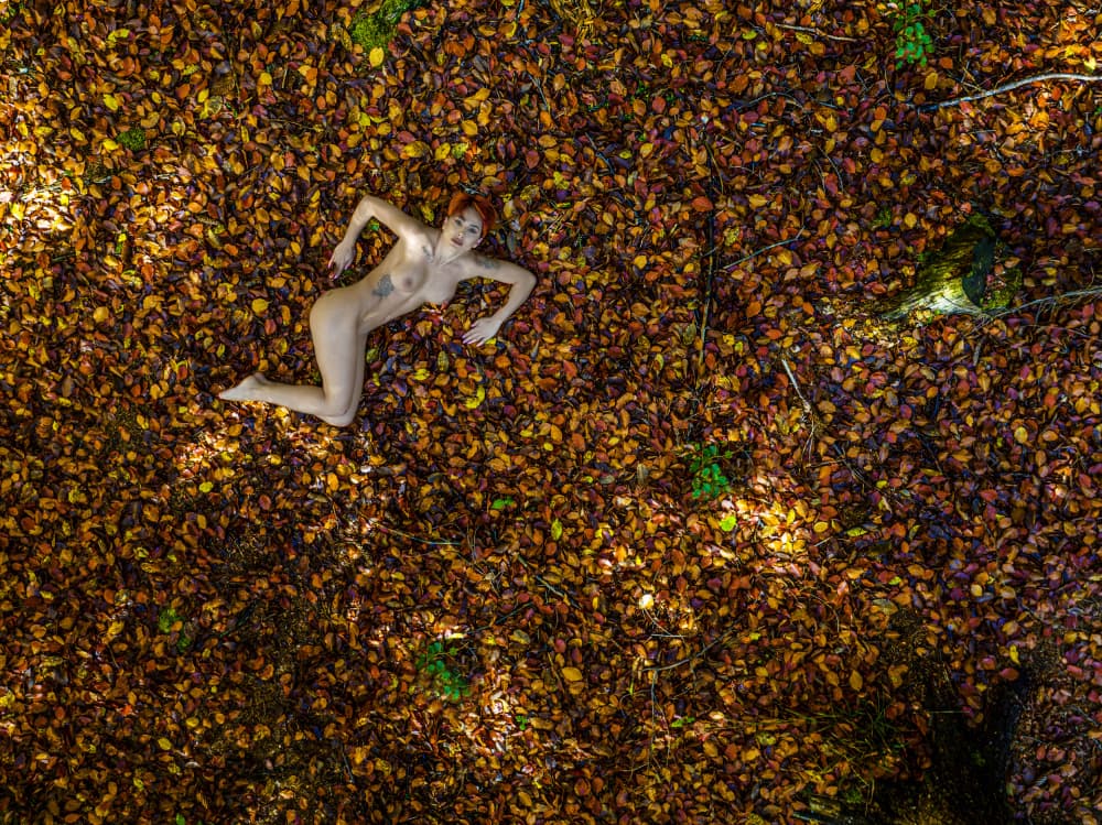 Nude Woman Fall Leaves by Ovi D. Pop — canvas wall art