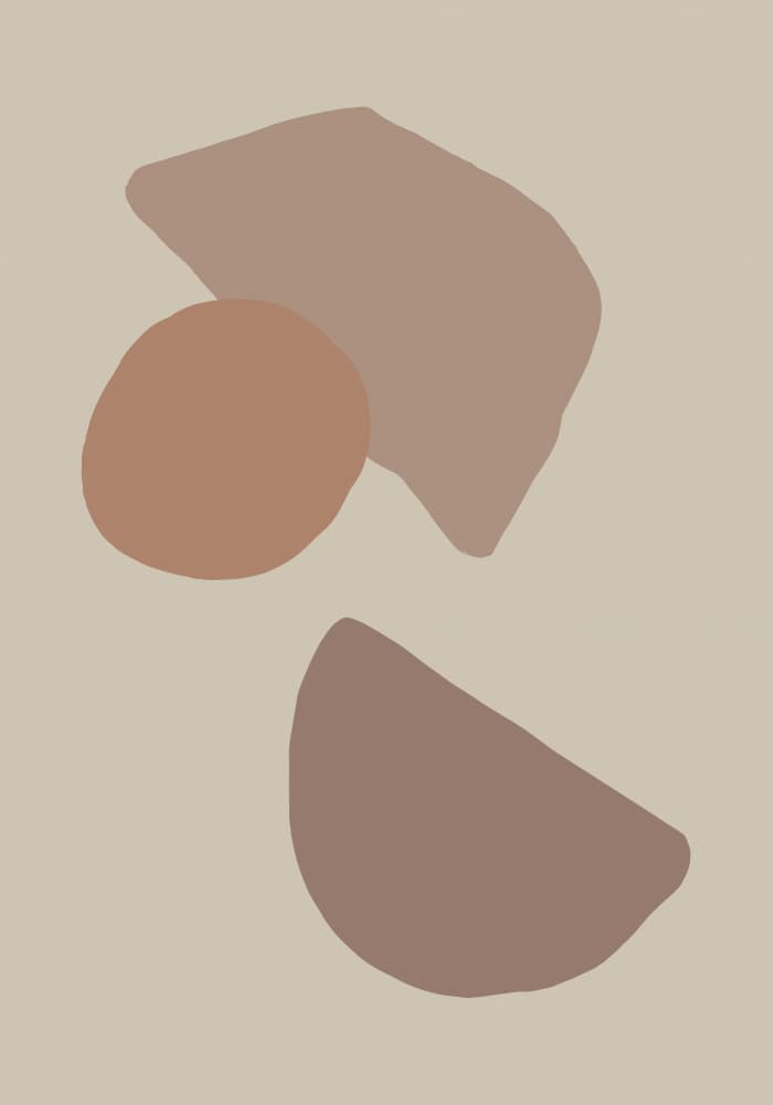 Earthy Abstract Shapes by Pictufy Studio — canvas wall art