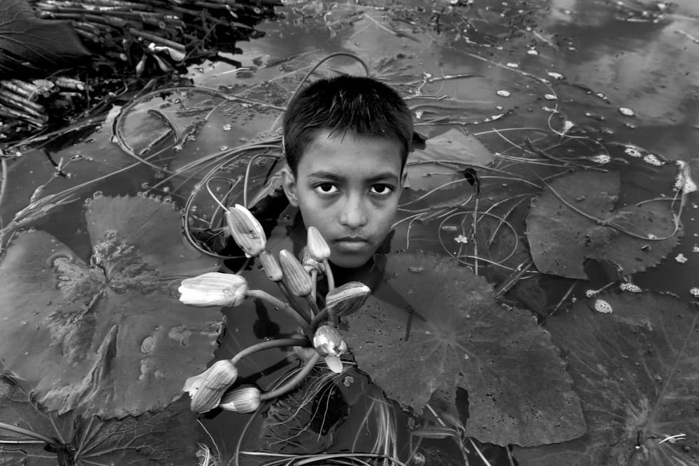 Boy Among Water Lilies by Abhraneel Chakraborty — canvas wall art