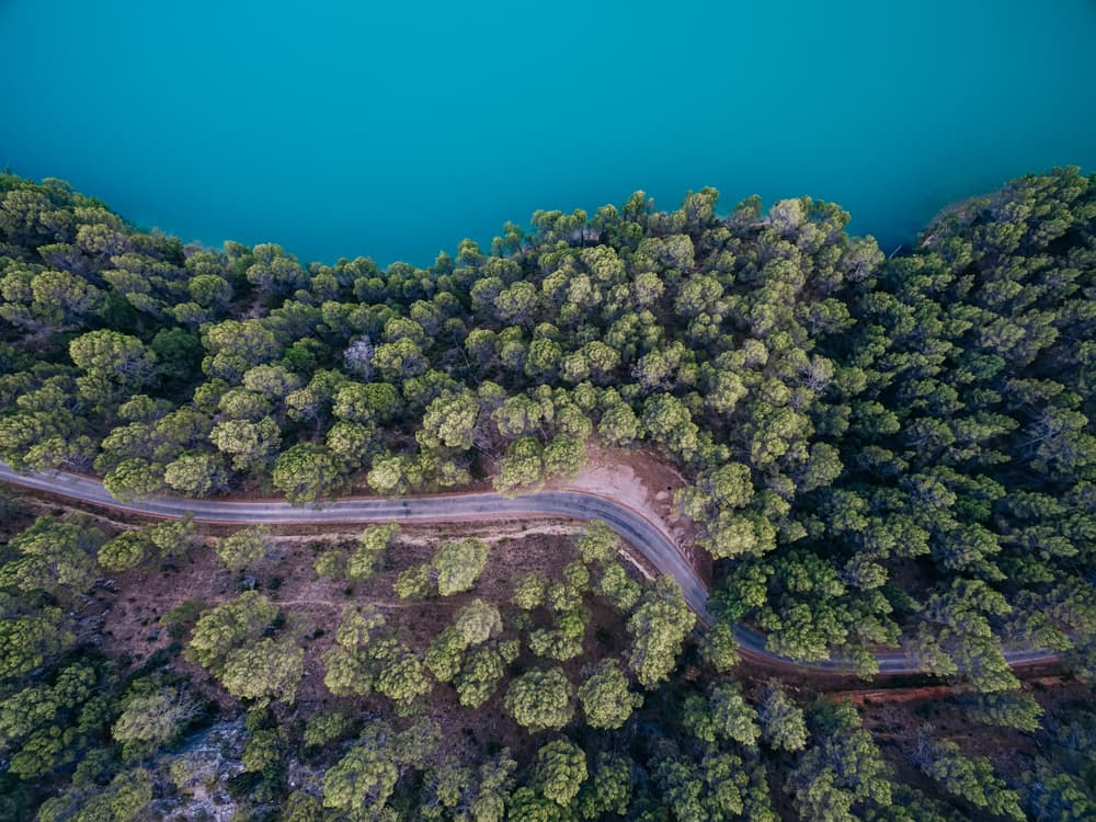 Winding Forest Road by Antonio Carrillo Lopez — canvas wall art