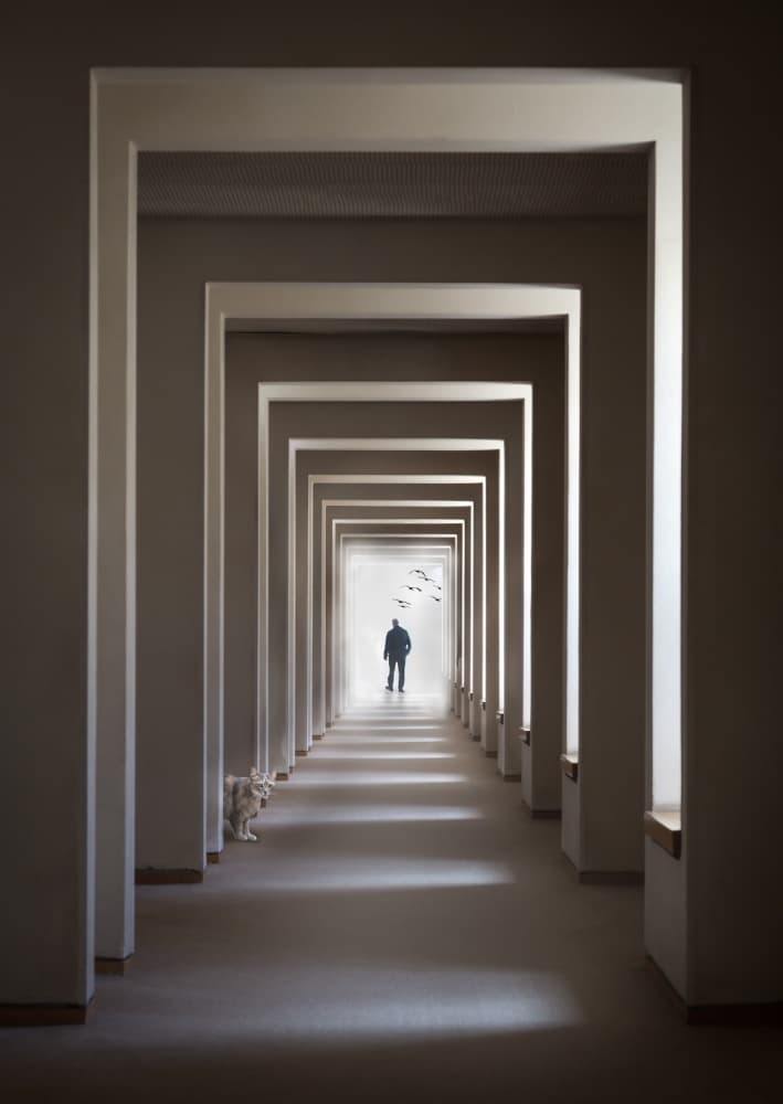 Path to the Light by Tomer Eliash — canvas wall art