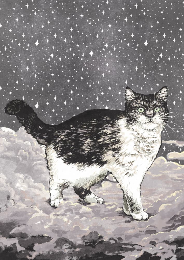 Starry Night Cat by Katariina Kosunen — canvas wall art
