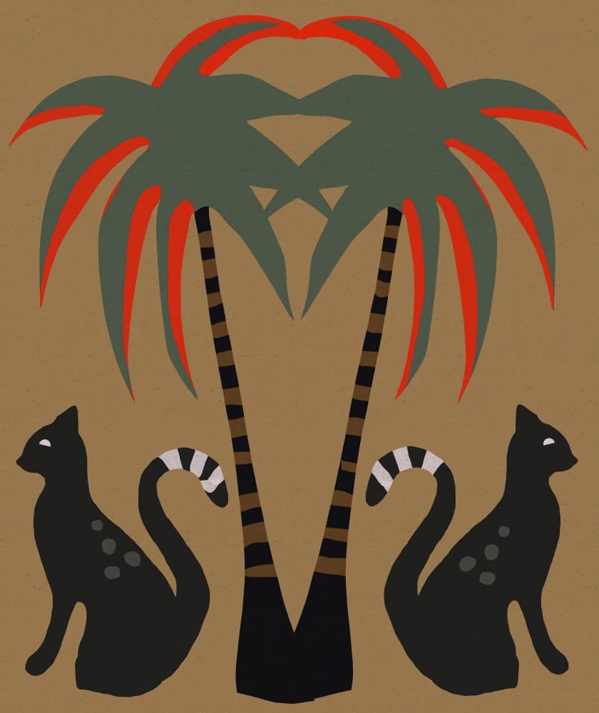 Tropical Desert Cats by Josie George — canvas wall art