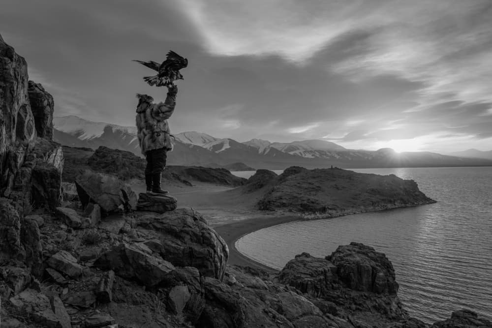Majestic Eagle Hunter by ADIREK M — canvas wall art