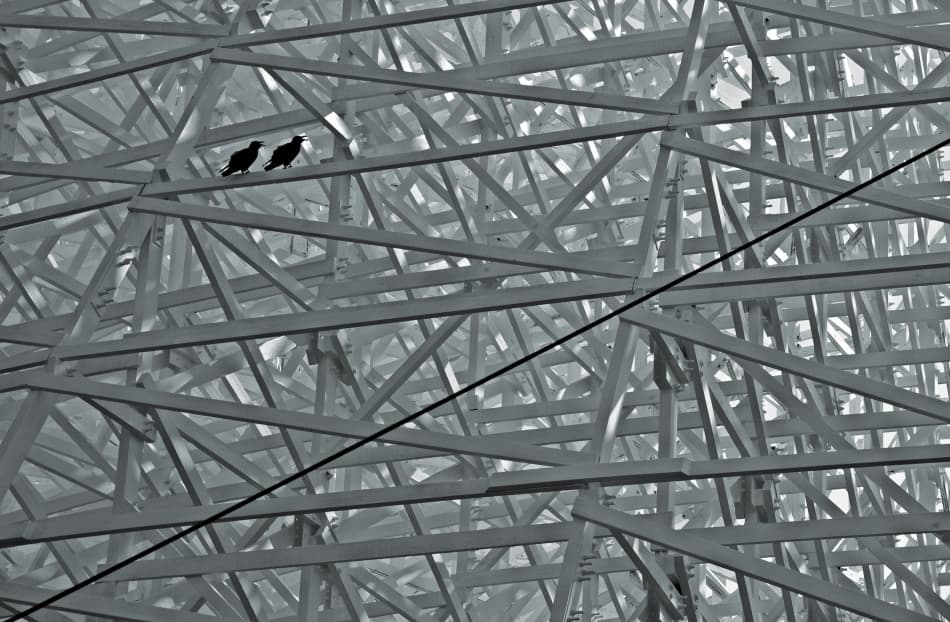 Crows on Geometric Structure by Keisuke Ikeda @ blackcoffee — canvas wall art