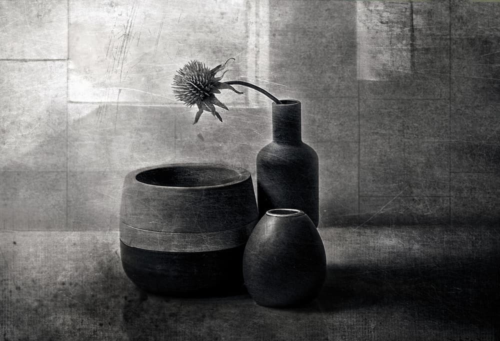 Moody Thistle Vessels by Elena Arjona — canvas wall art