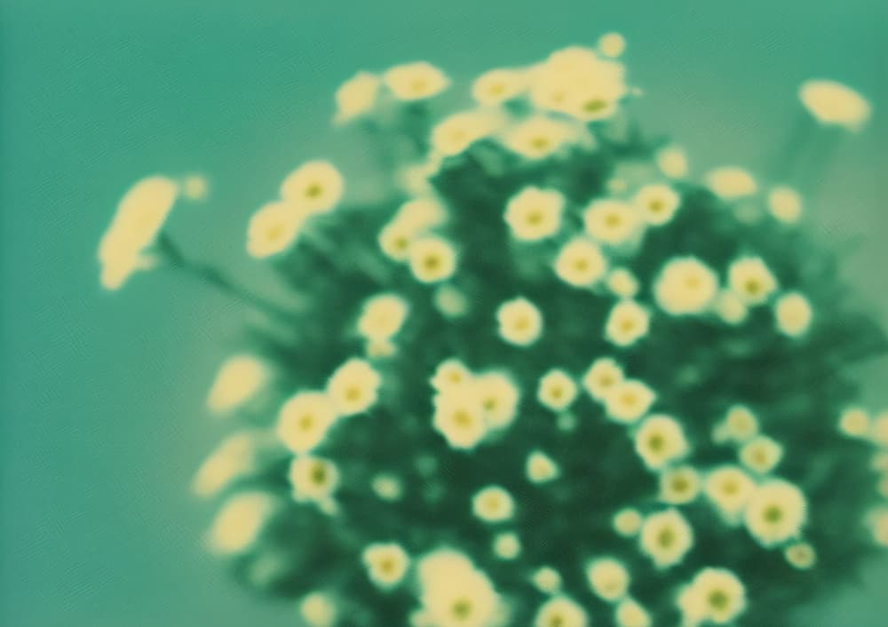 Dreamy Floral Bouquet by Cicero Spin — canvas wall art
