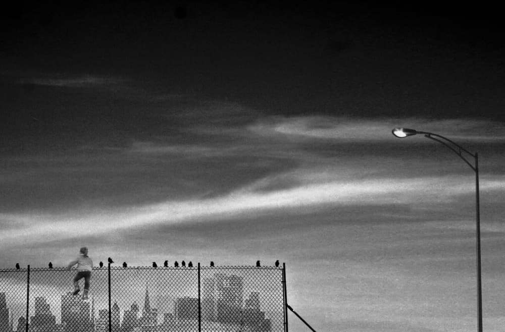 Urban Fence Climber by David Senechal Photographie (polydactyle) — canvas wall art