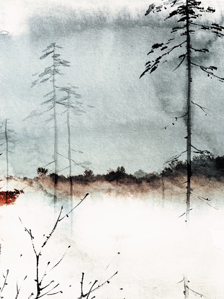 Misty Forest Calm by Treechild — canvas wall art