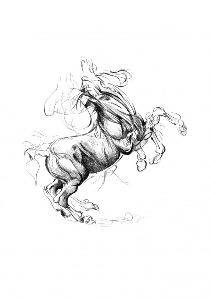 Rearing Horse Sketch by Kulik — canvas wall art