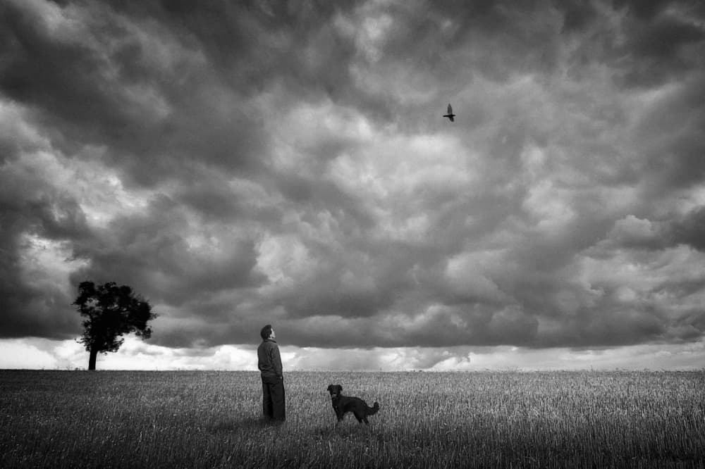 Person Dog Storm Sky by Holger Droste — canvas wall art