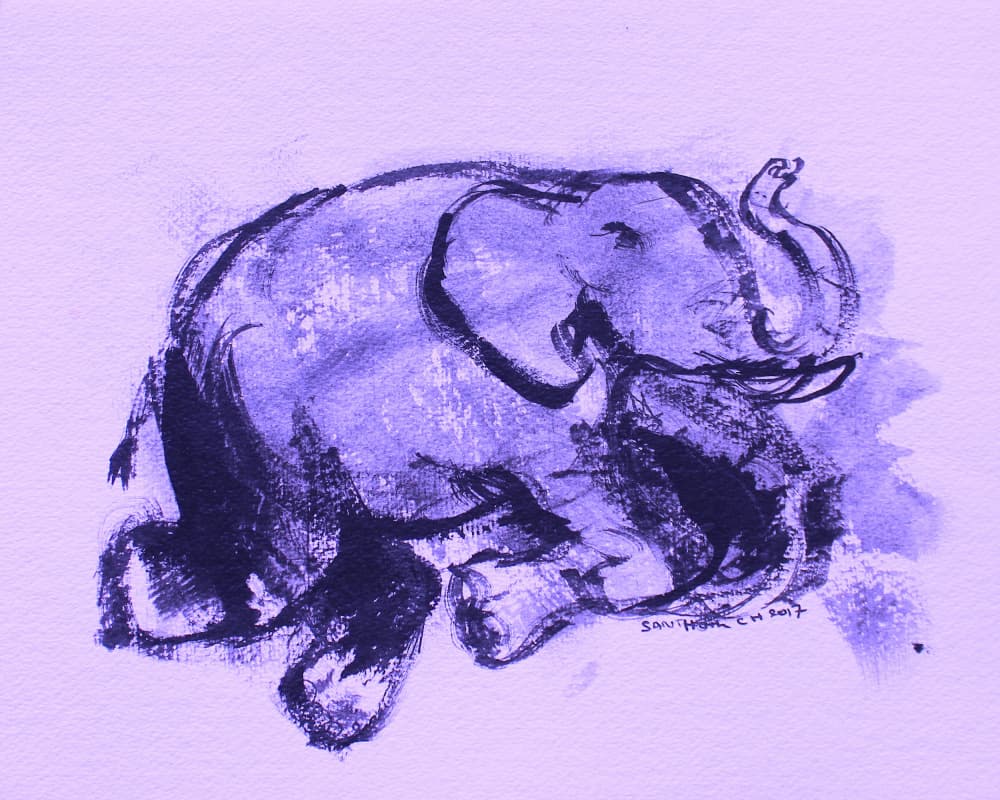 Elephant 42 by Santhosh ch — canvas wall art
