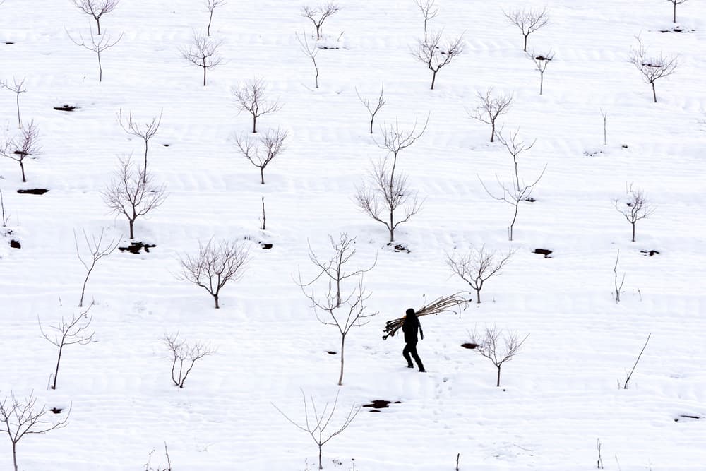 Lone Figure Winter Trees by durmusceylan — canvas wall art