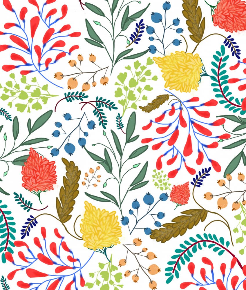 Colorful Botanical Pattern by Uma Gokhale — canvas wall art