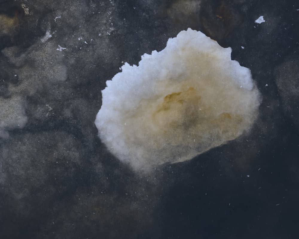 Soft Frozen Abstract by Hamed Bank — canvas wall art