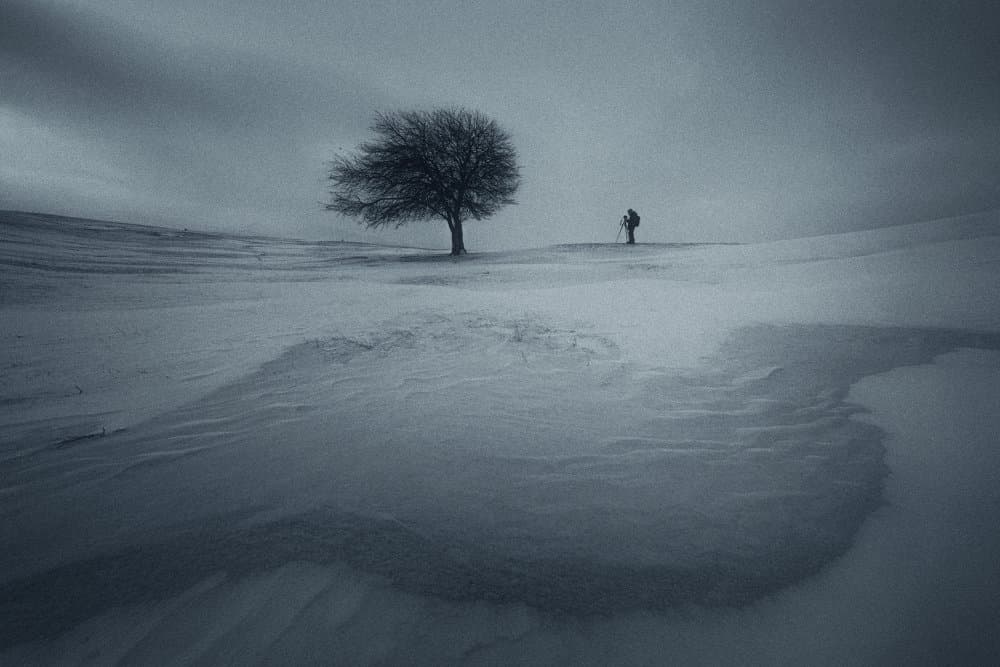 Winter Solitude by TIANQI — canvas wall art