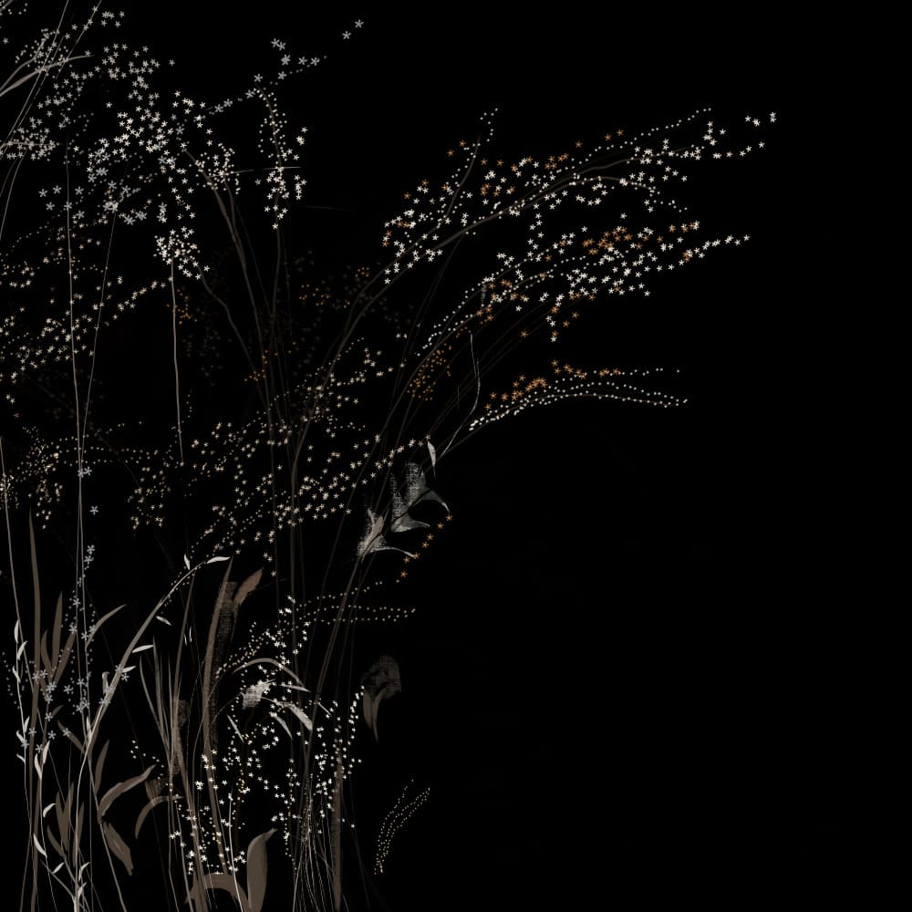 Delicate Night Stems by Josie George — canvas wall art