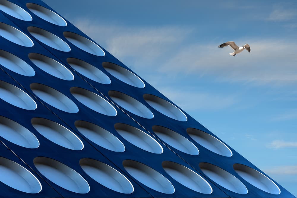Seagull Over Modern Geometry by Henk van Maastricht — canvas wall art