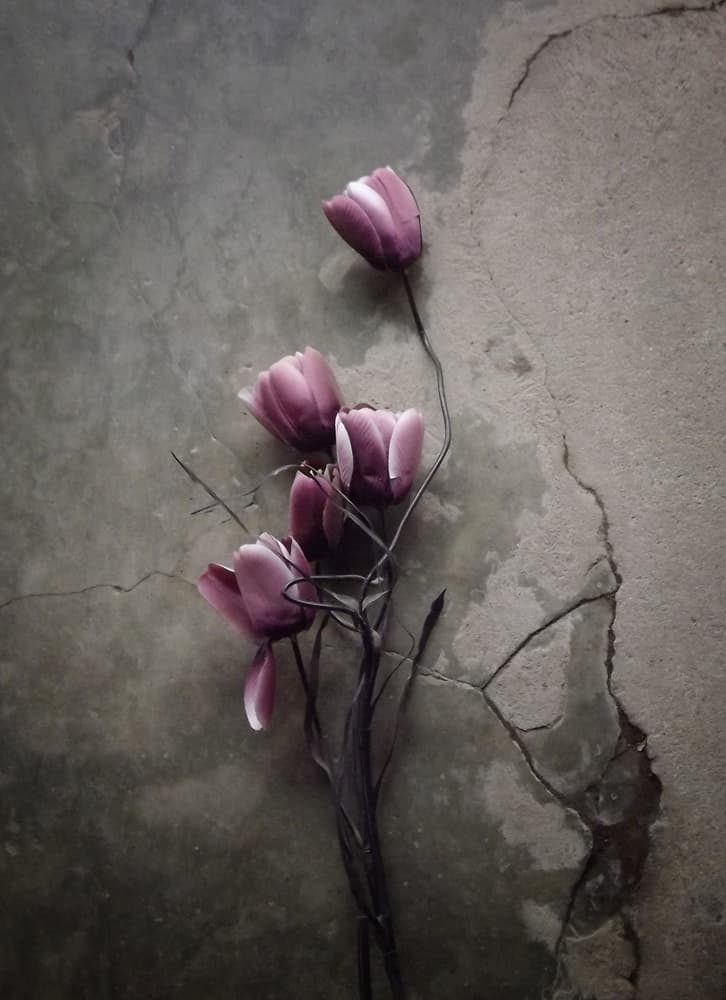 Moody Concrete Blooms by Kahar Lagaa — canvas wall art