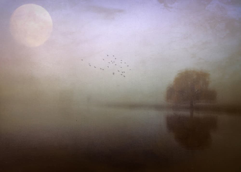 Moonlit Misty Lake by Robert Fabrowski — canvas wall art