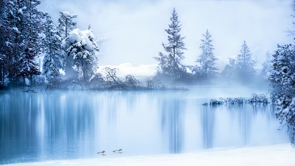Misty Winter Lake by Siyu_Wei APA — canvas wall art
