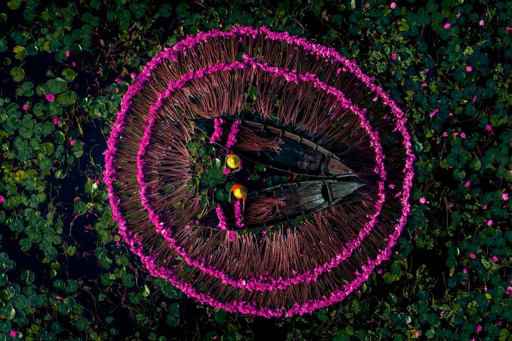Vibrant Lotus Circle by Tanvir — canvas wall art