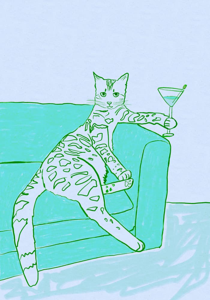 Cool Cat Cocktail by Sharyn Bursic — canvas wall art