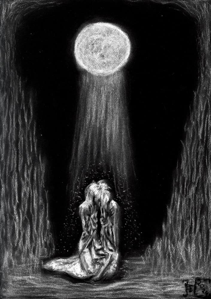 Moonlit Embrace by Tim Hoinkis — canvas wall art