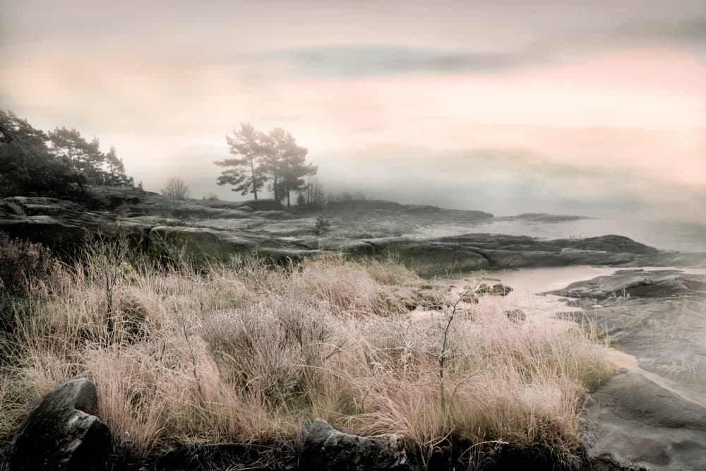 Misty Winter Shore