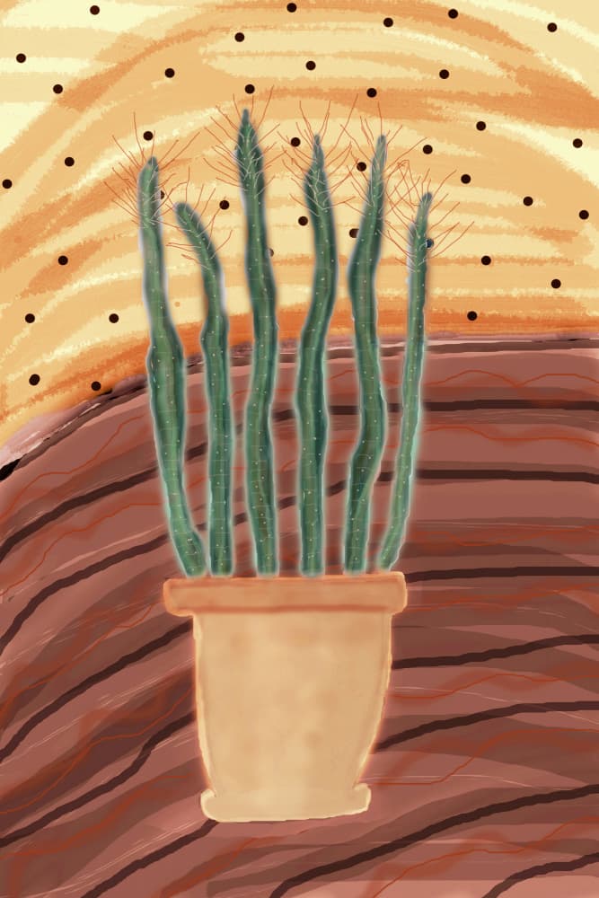 Potted Desert Cactus by Christina Sillen — canvas wall art