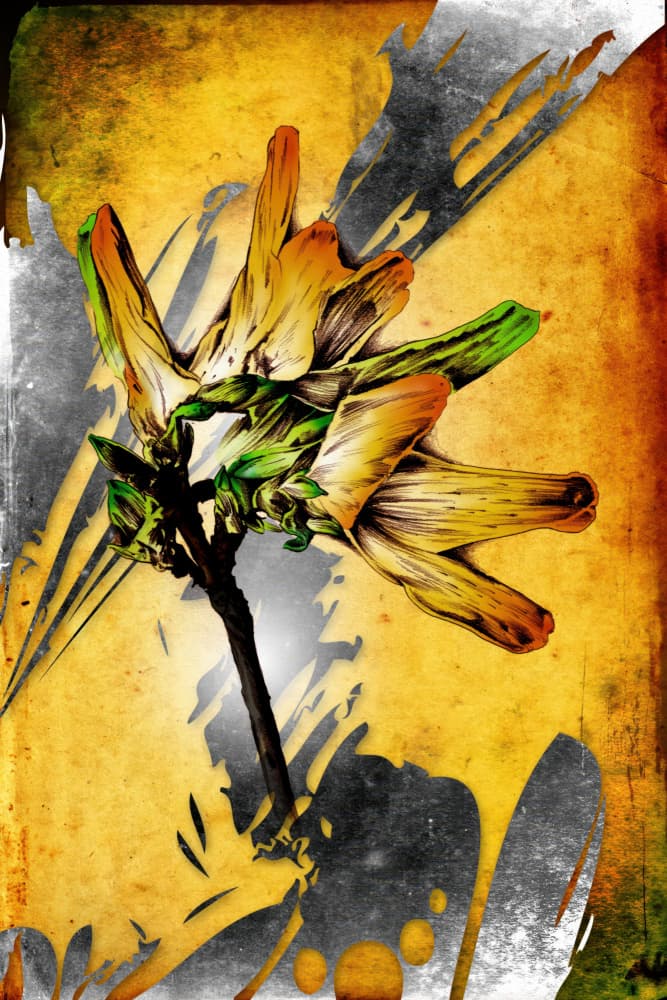 Golden Grunge Flower by Rafal Kulik — canvas wall art