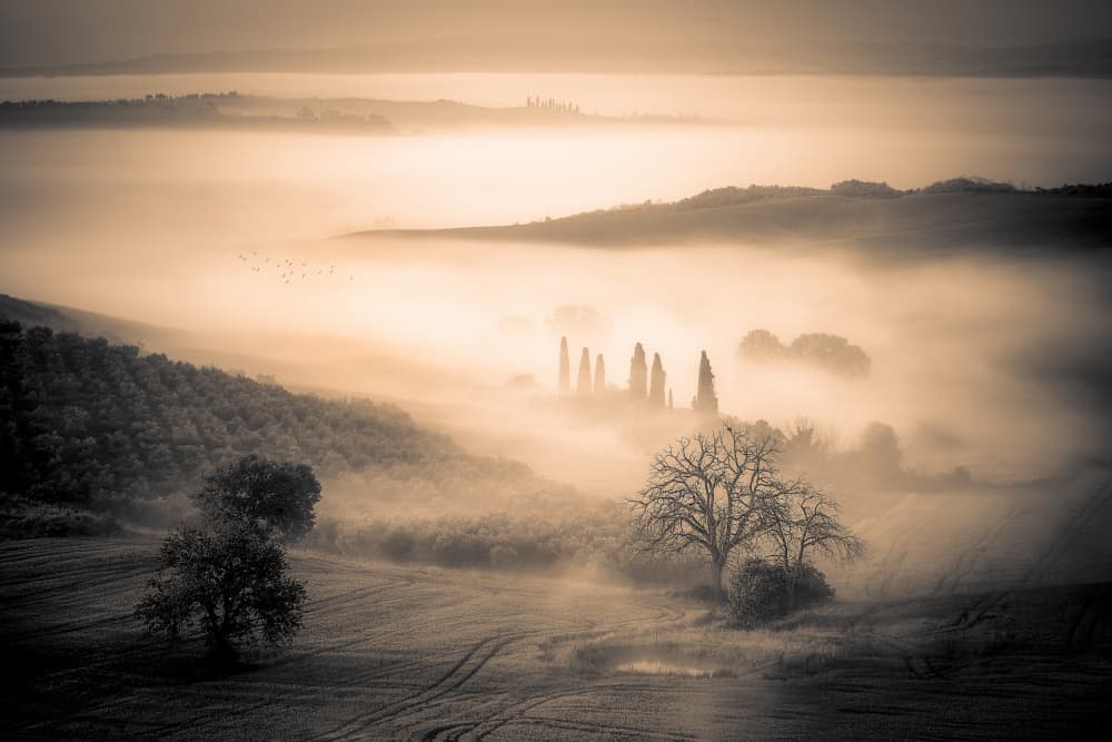 Tuscan Morning Mist by yoann — canvas wall art