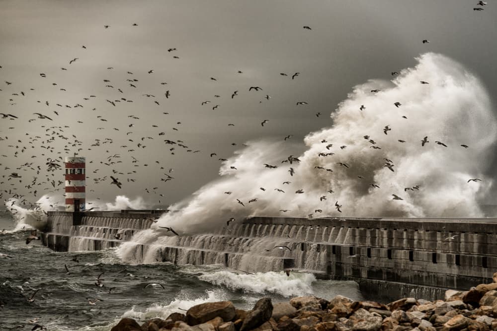 Lighthouse Storm Waves by Ricardo Leal — canvas wall art