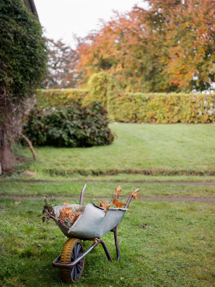 Autumn Wheelbarrow | Rustic Fall Garden Scene by Raisa Zwart — canvas wall art