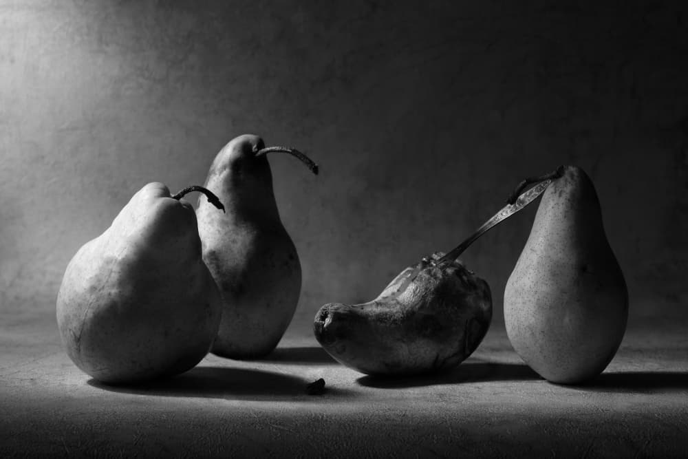 Decaying Pears Still Life by Victoria  Glinka — canvas wall art