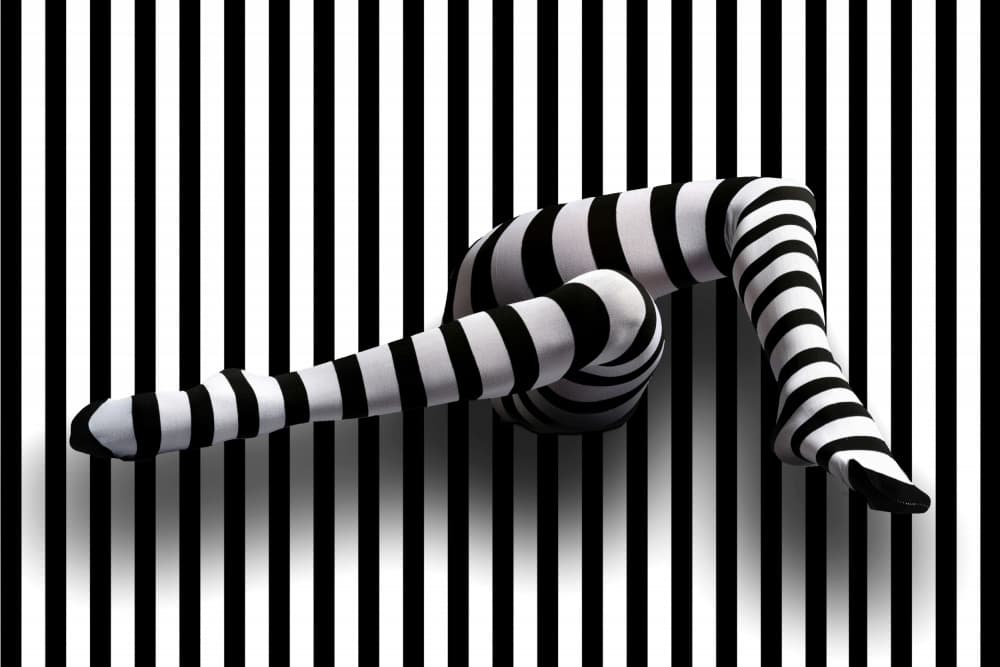 Striped Legs Illusion by Erhard Batzdorf — canvas wall art