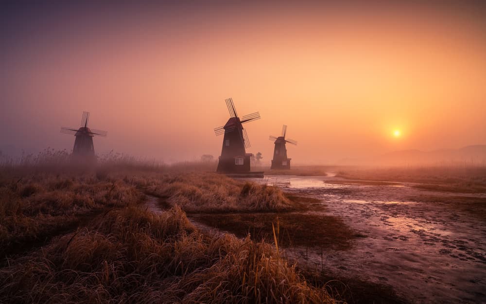 Misty Windmill Sunrise by Tiger Seo — canvas wall art