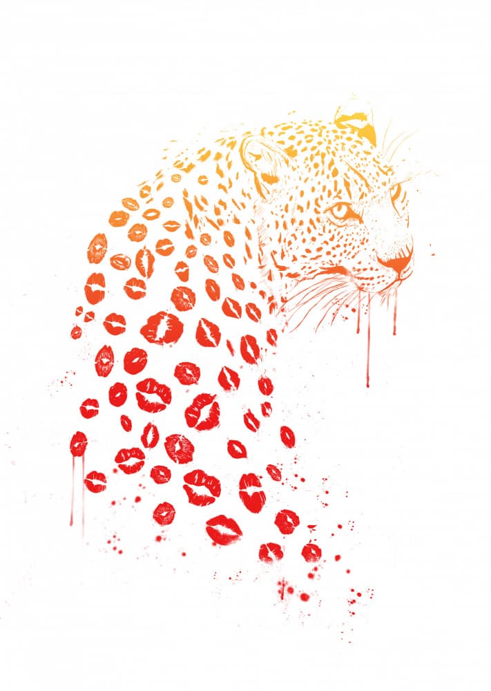 Leopard Kisses by Balazs Solti — canvas wall art