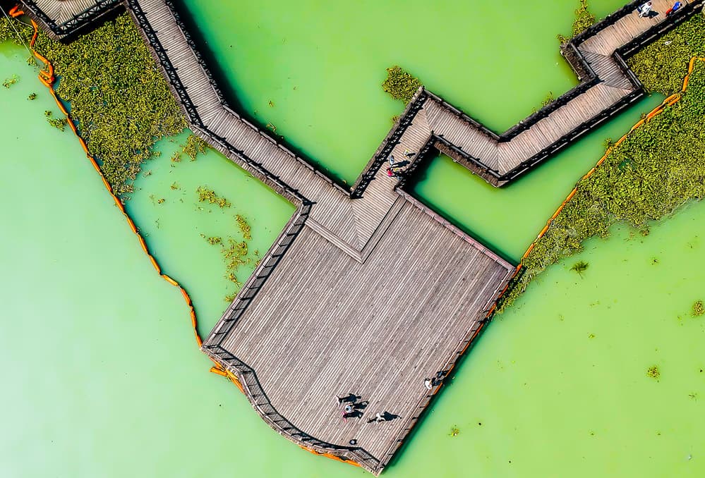 Green Water Boardwalk Path by Rui Wang — canvas wall art