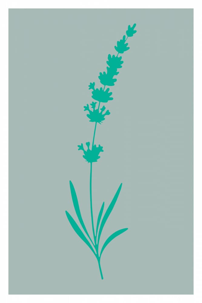 Teal Lavender Bloom by casa cartissi — canvas wall art